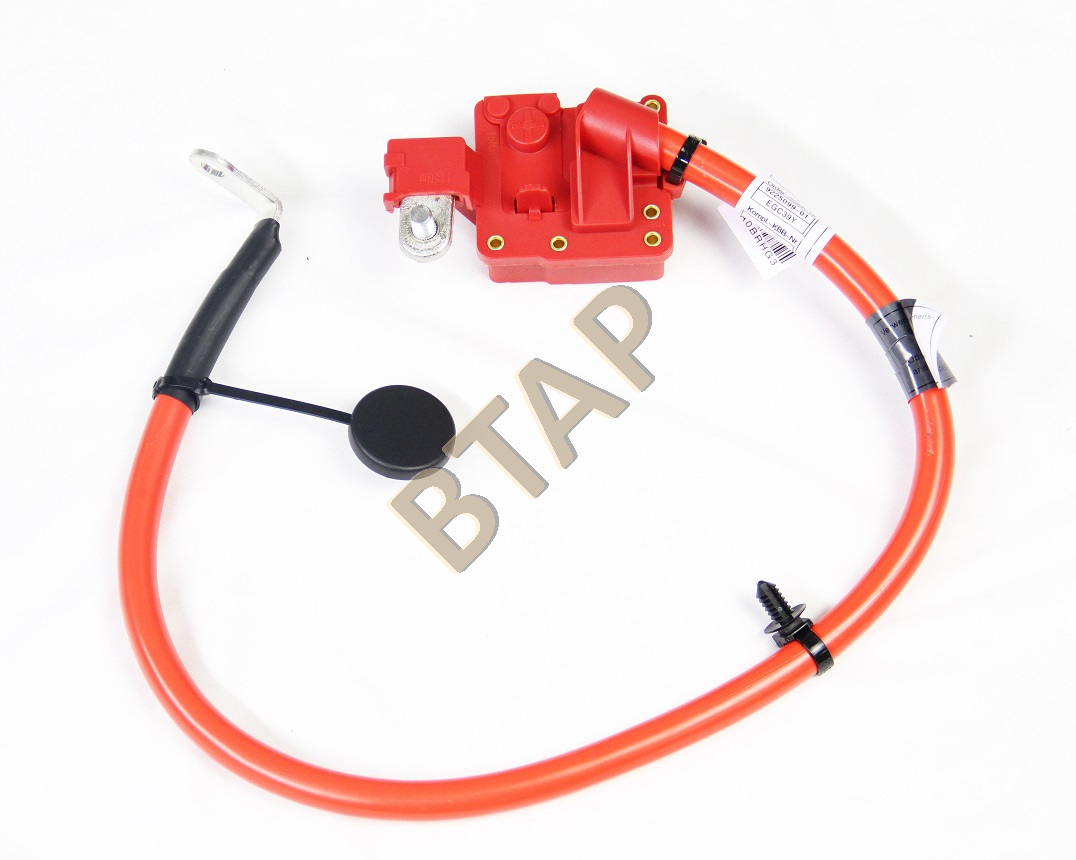 c0074d2e-26ec-464b-a116-a0473b2534e0.png 61129225099 AKÜ KABLOSU BTAP X3 F25 BMW279980 - Görsel 1