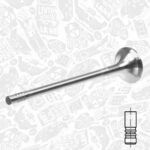BMW F20 N47D16 EMME-EGSOZ SUPAP TAKIMI 11347812616-11347812618