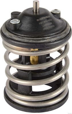 rFMez6846tVoPDqYORmpmL2cyN5E98aZnKzS1IuyIUMw.jpg BMW N47-N47N TERMOSTAT 11518512234 - Görsel 1
